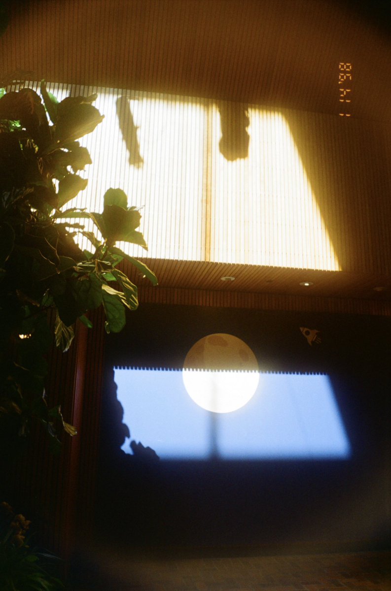 e58f8b's tweet photo. my gf and i purchased some old late 90s cheap reusable film point &amp; shoots and took it with us for a few dates and here are the results !🧵 https://t.co/ON3bfA4h5T