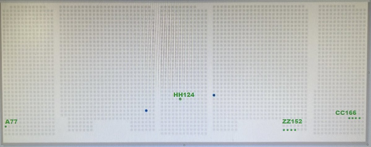 OccidentalGold tweet media