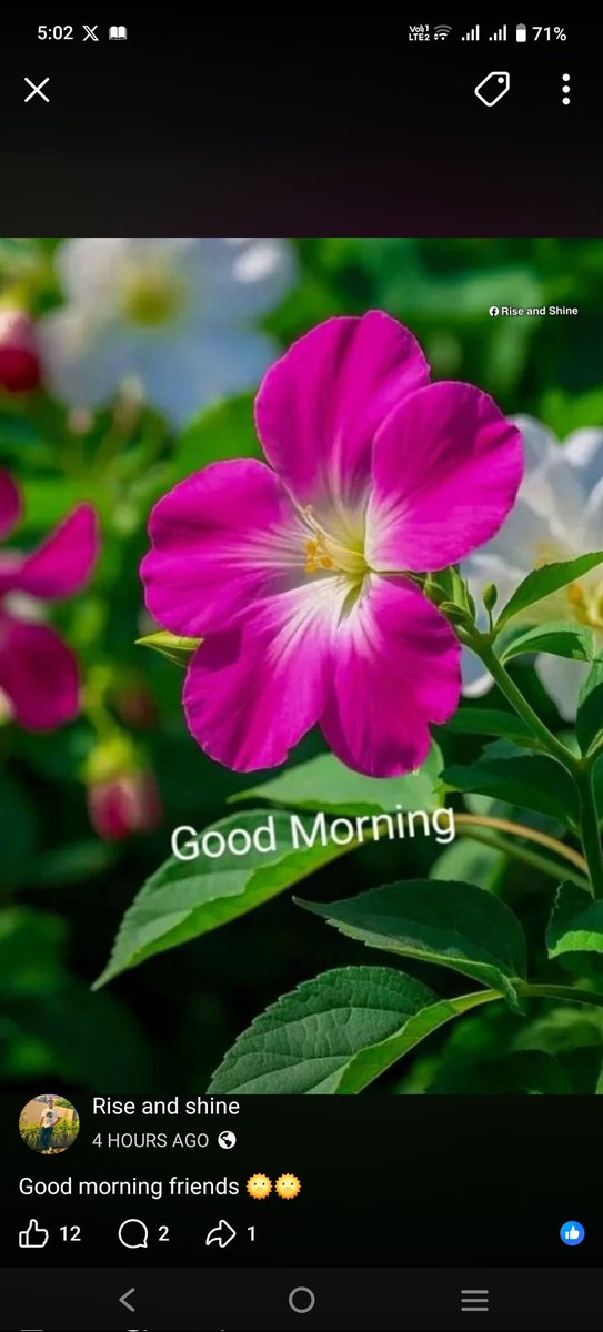 Muhammad Aslam tweet media