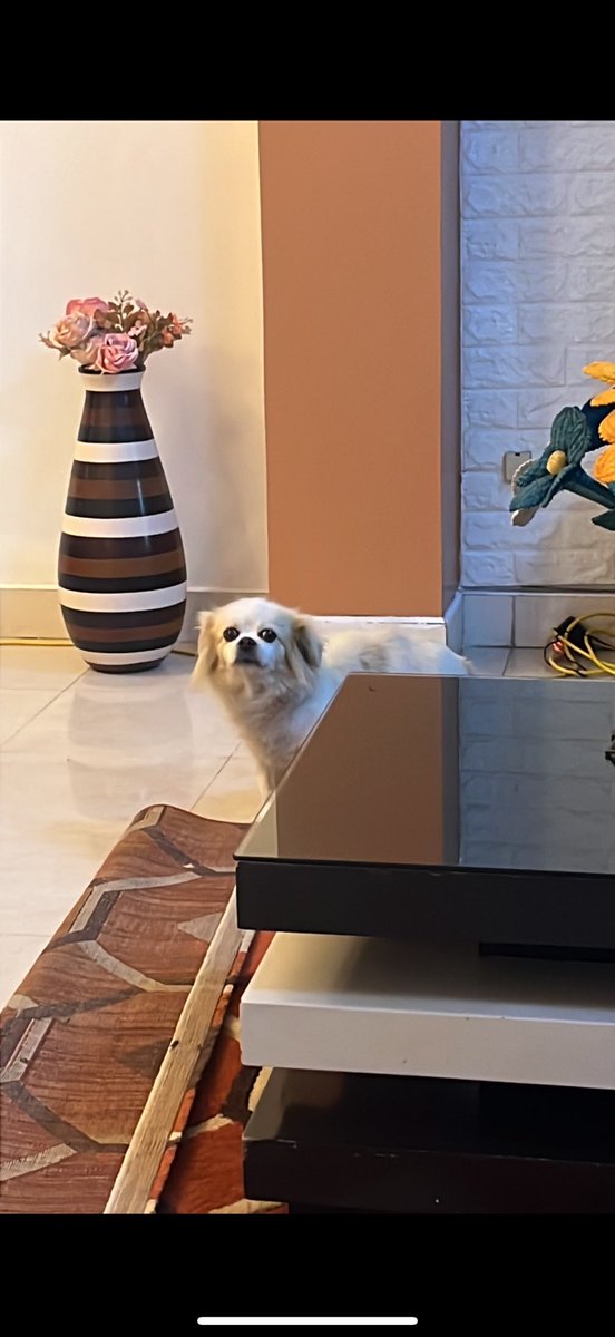 Astrid Rivera G tweet media