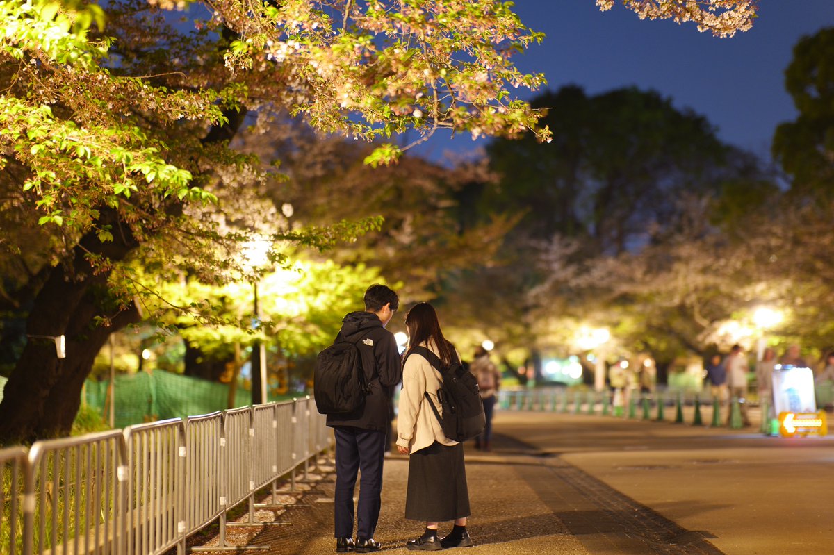 ばってりーよしだ@HWS CANINE tweet media