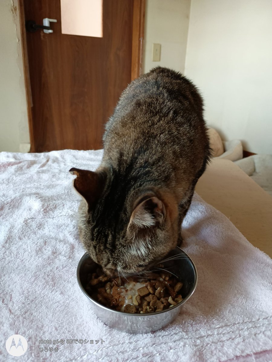 hiro_LC@北海道移住完了 tweet media