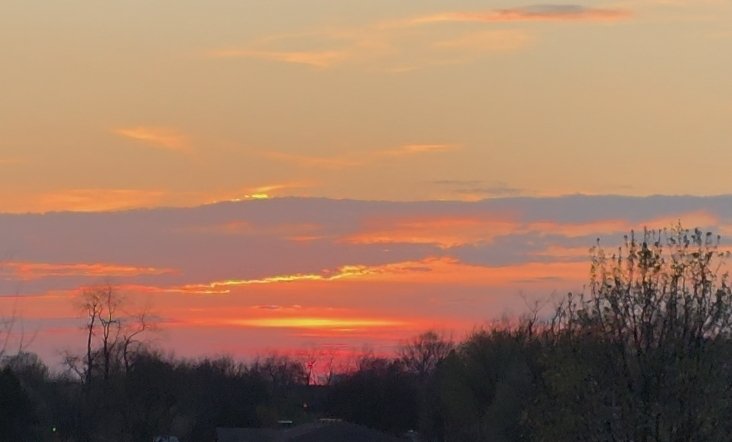 Jason 🌰 🌪 tweet media