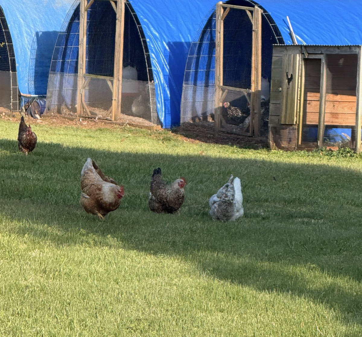 Anthony Tomlinson tweet media