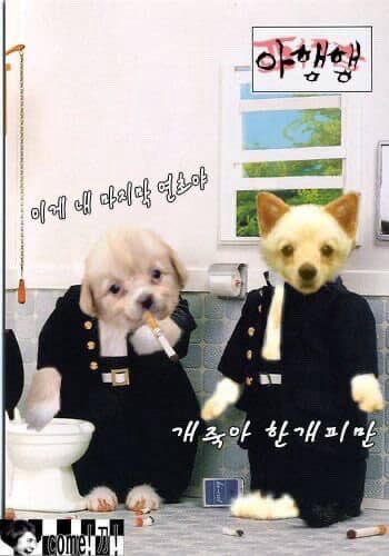 퐁퐁냥냥 tweet media