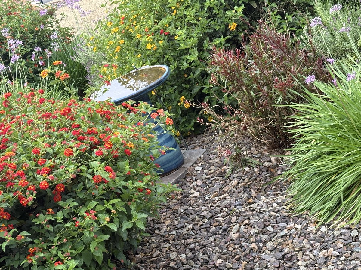 Regular gal Irregular world (Sam) tweet media