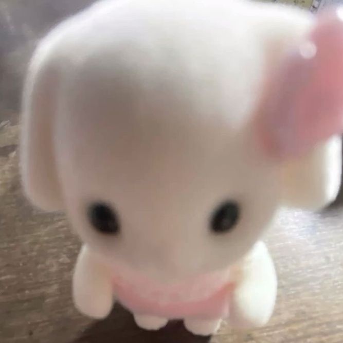 yuli ᨳଓ tweet media