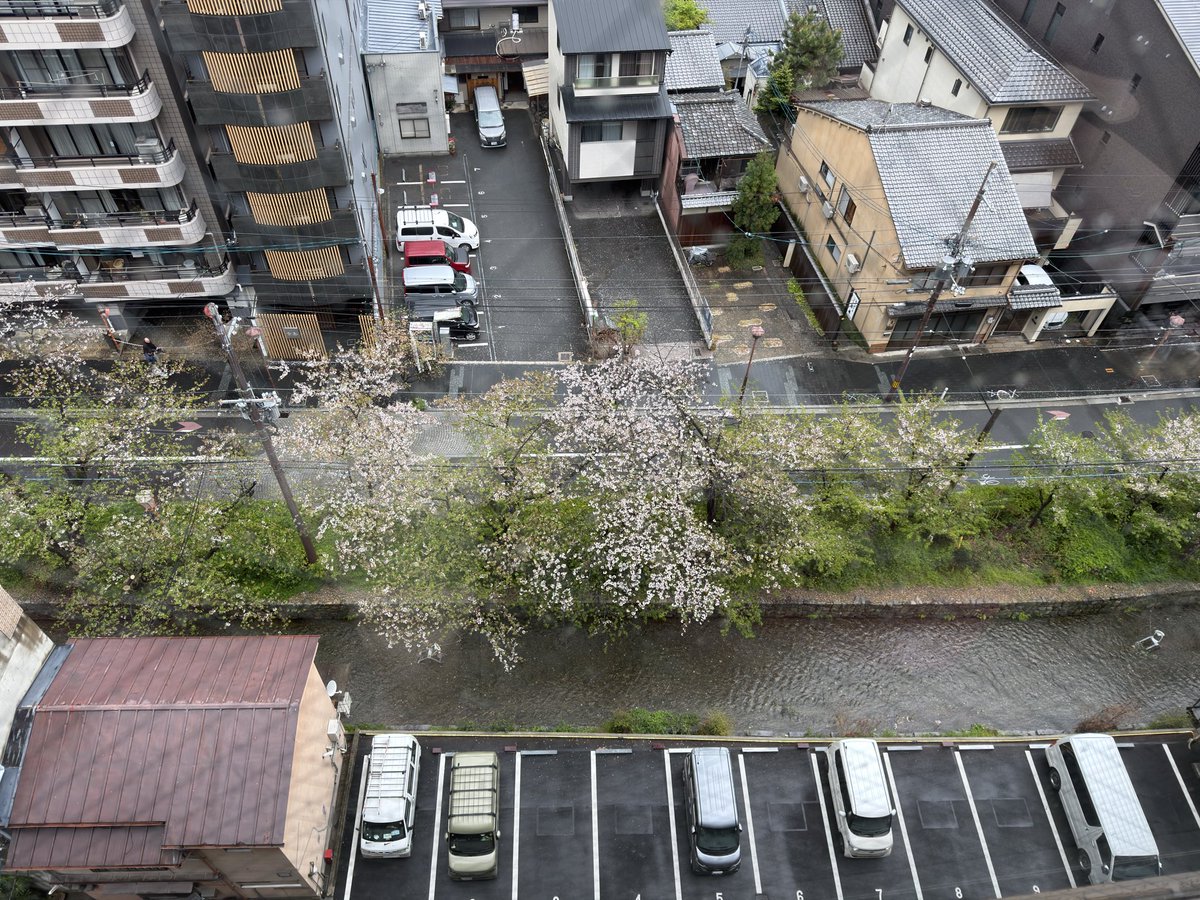 GothamMutt's tweet photo. @MetsBooth Good morning from a rainy Kyoto. I’ll be listening in. #LGM #RainDayActivity https://t.co/Xwj97uw2ZL