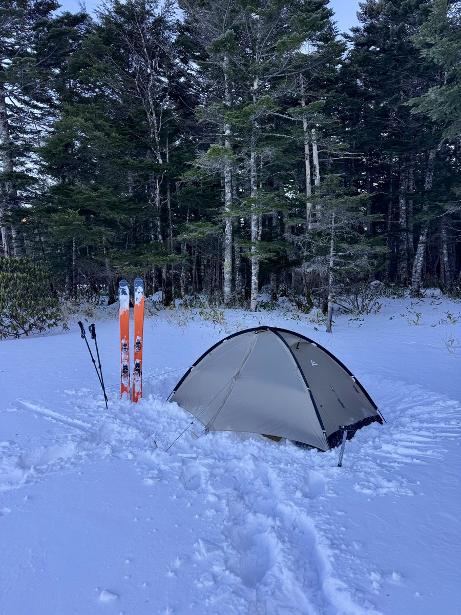 LOCUS GEAR tweet media