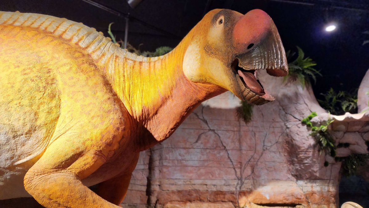 AZ Museum of Natural History tweet media