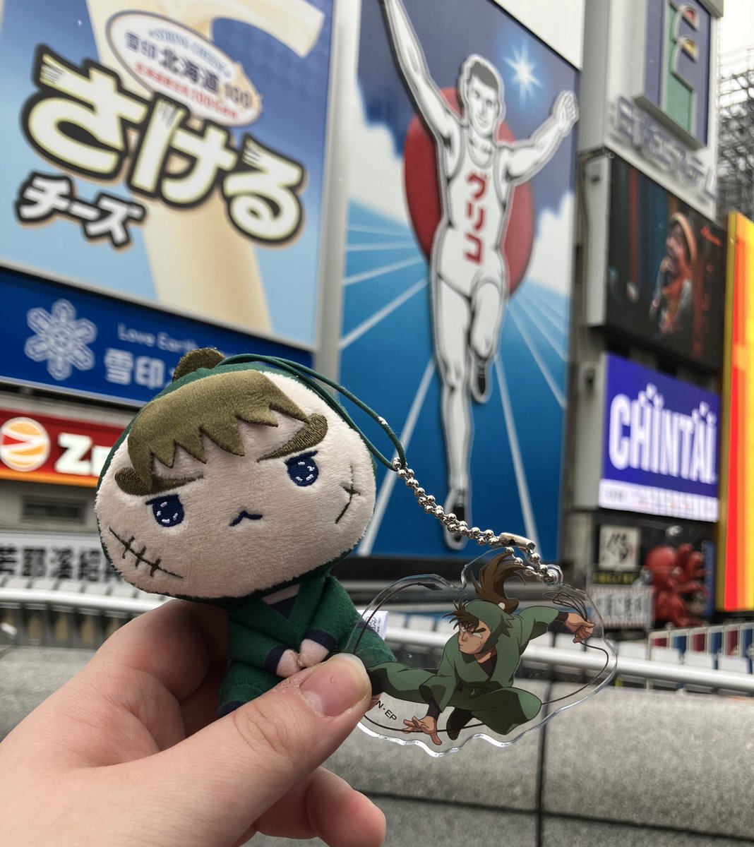 ぽちゃネコ🐱🍽 tweet media