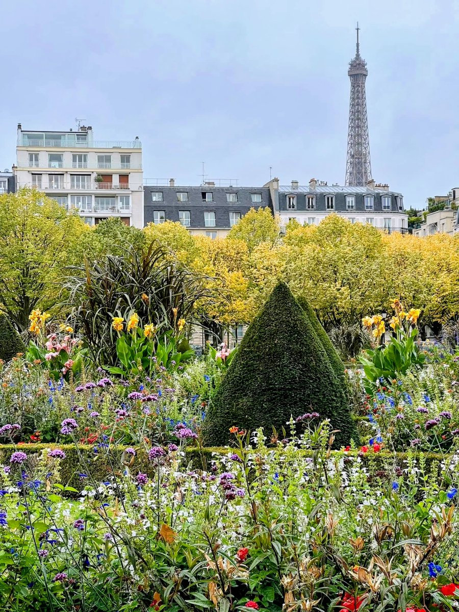 MichelleMoggio's tweet image. #EiffelTower peek-a-boo should be an Olympic sport #Paris #TheParisEffect #travel