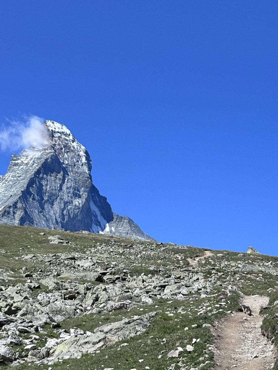 Eric Law tweet media