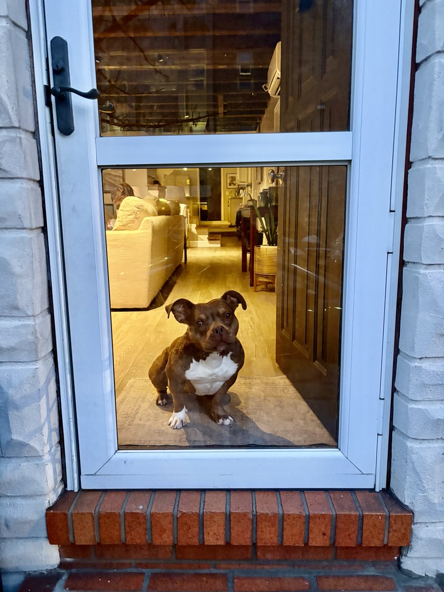 ron_cassie's tweet image. Needed to get out of the house and so went for a walk and then crossed paths with someone else who wanted to get out of the house. #Baltimore #RowhouseLife