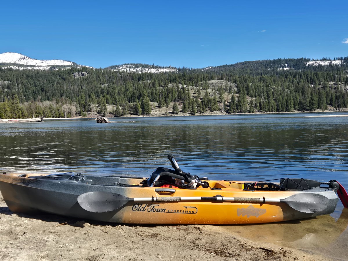 Yetified_Mayhem's tweet photo. Kokanee and Rainbow off a kayak, early season. #Idaho #McCall https://t.co/1SsbshAfWL