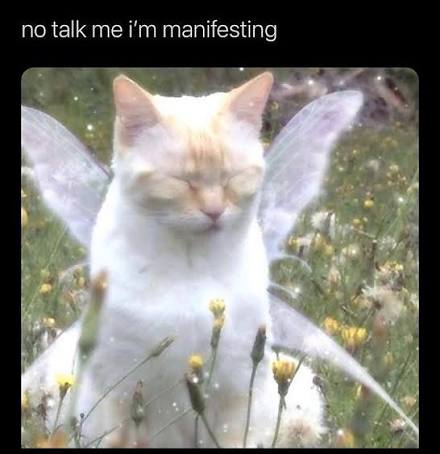 Faeries.. if you see this, I wanna shout-out moot <a href="/lolAngelcx/">🌸Angel 15% 𐔌՞. .՞𐦯</a> she's at 15% currently

She's donated to people recently so please if you're able to be could use some help! ✨🍀✨🍀✨🍀✨🍀