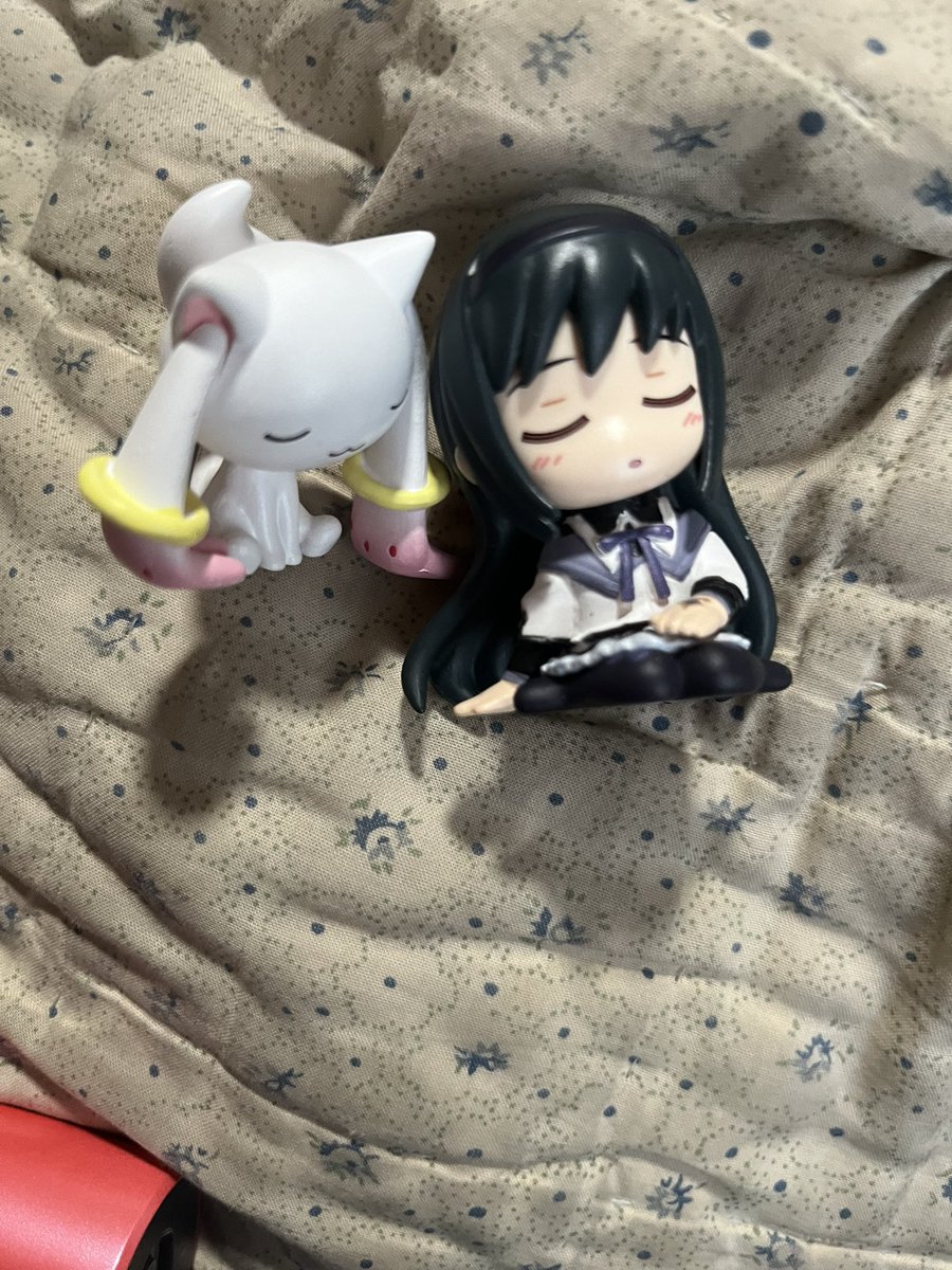 cherrri 🍒 🇵🇸🏳️‍⚧️ ♫⃠ tweet media