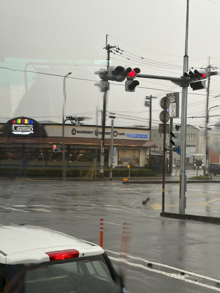 こびん tweet media