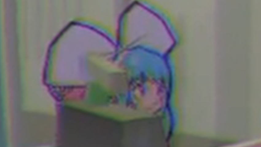 Wonderfish tweet media