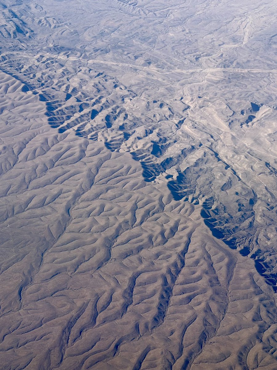 Leah Cheshier tweet media