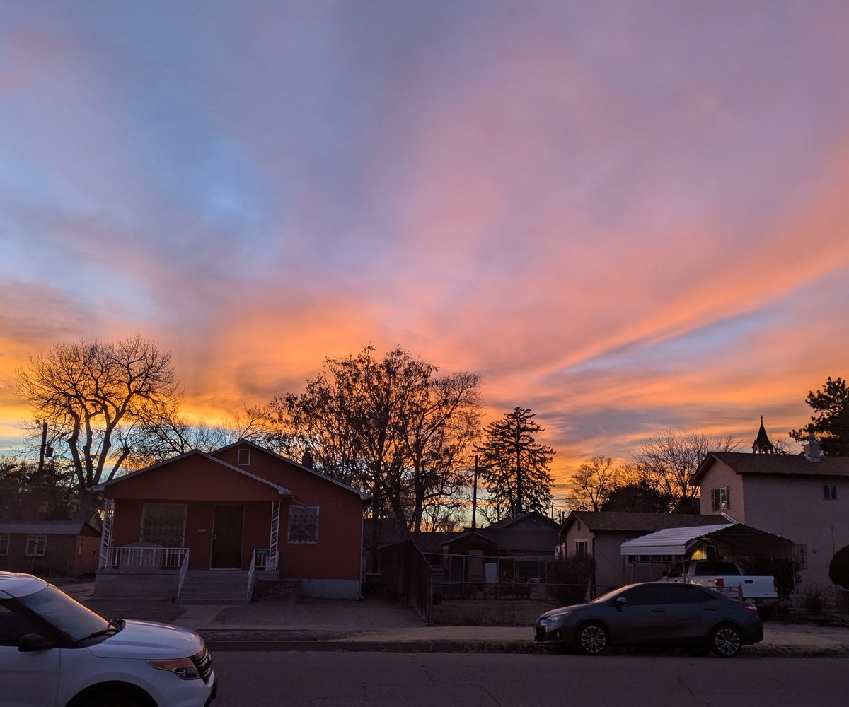 🐕Alexander 🐕 the puppy tweet media