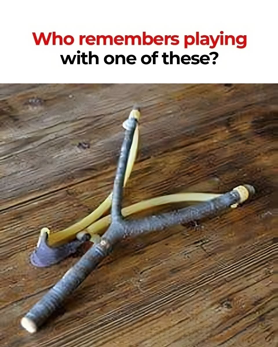 Elizabeth❣️ tweet media