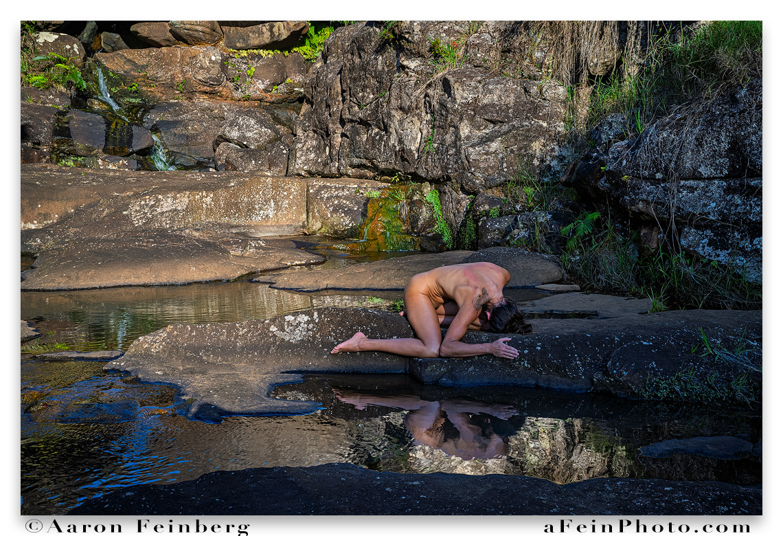 aFeinNude by aFeinberg.eth tweet media