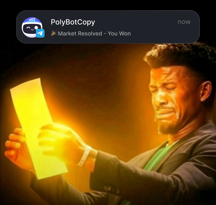 Poly Bot Copy tweet media