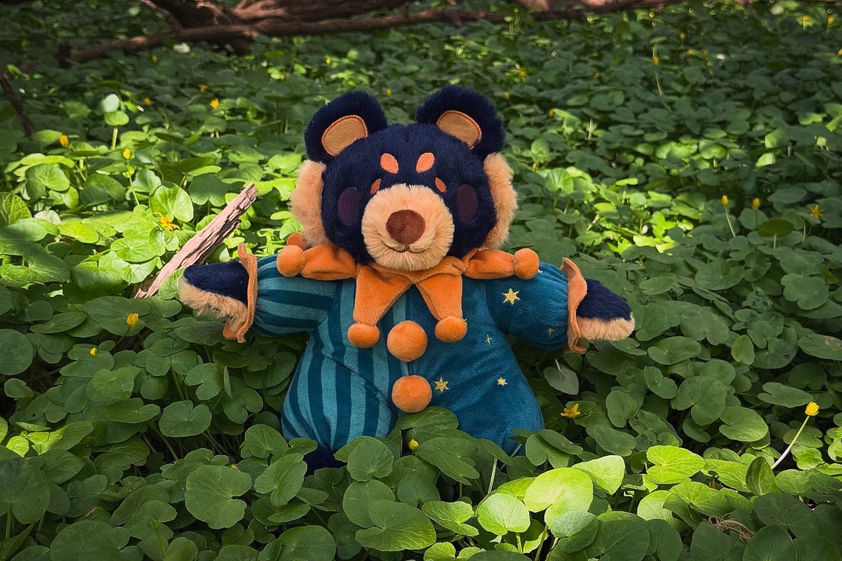 lizschmidt.bsky.social 🦋 ☁️ tweet media