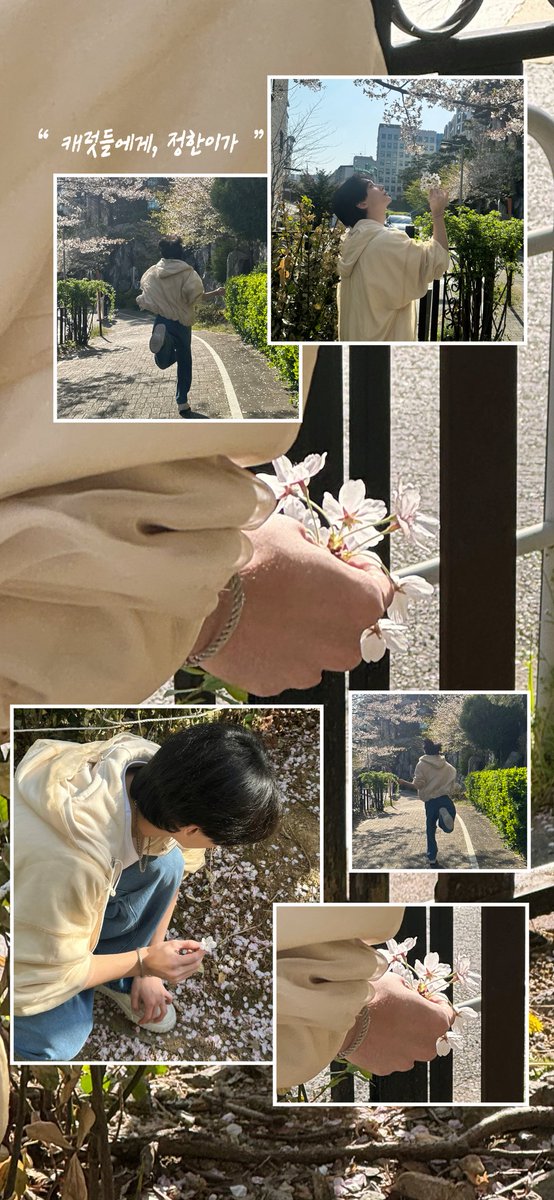 포티👼🏻 tweet media