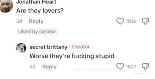 Fluffal Dolphin (@fluffaldolphin) on Twitter photo 