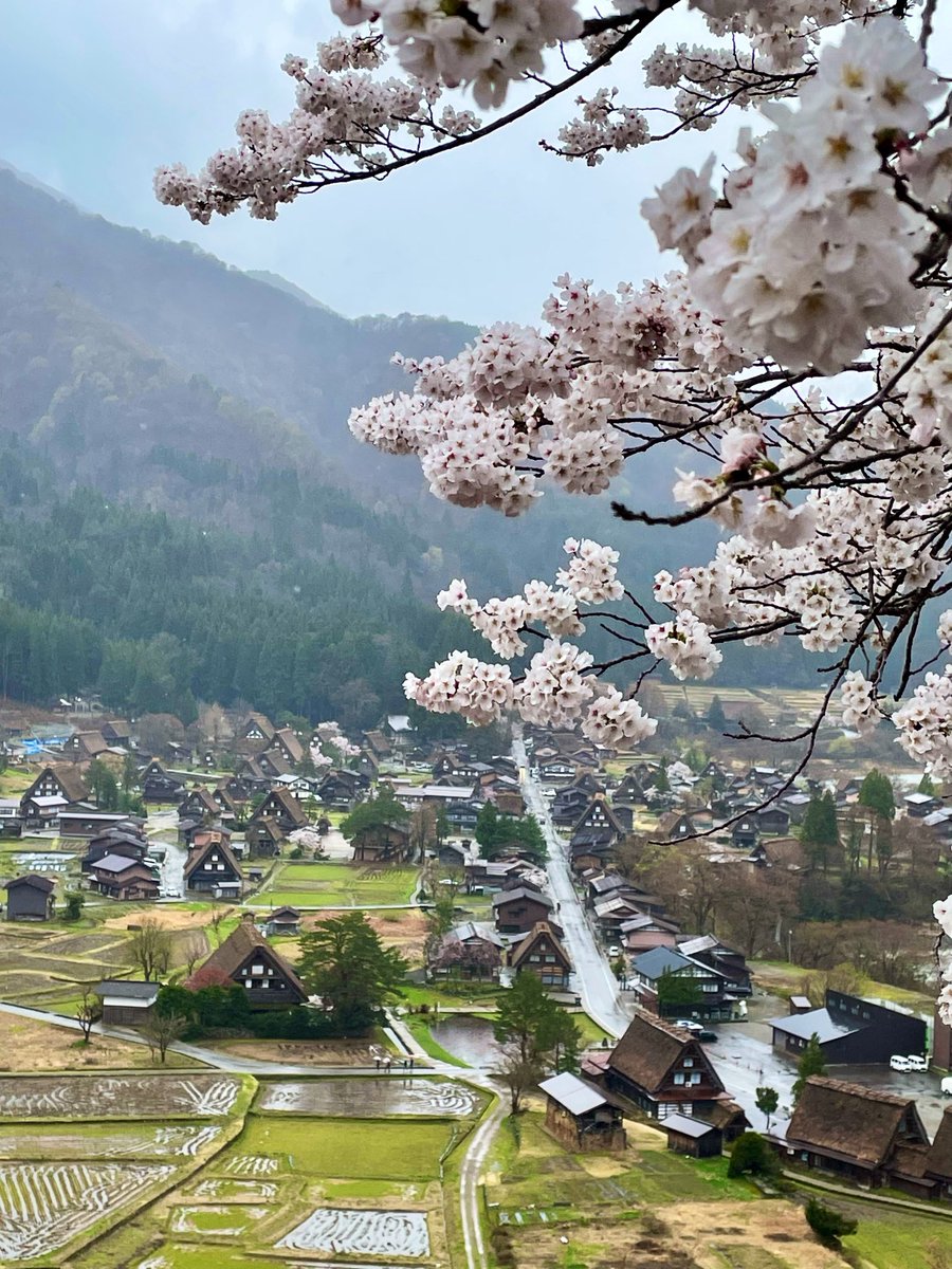 白川郷天守閣展望台 tweet media