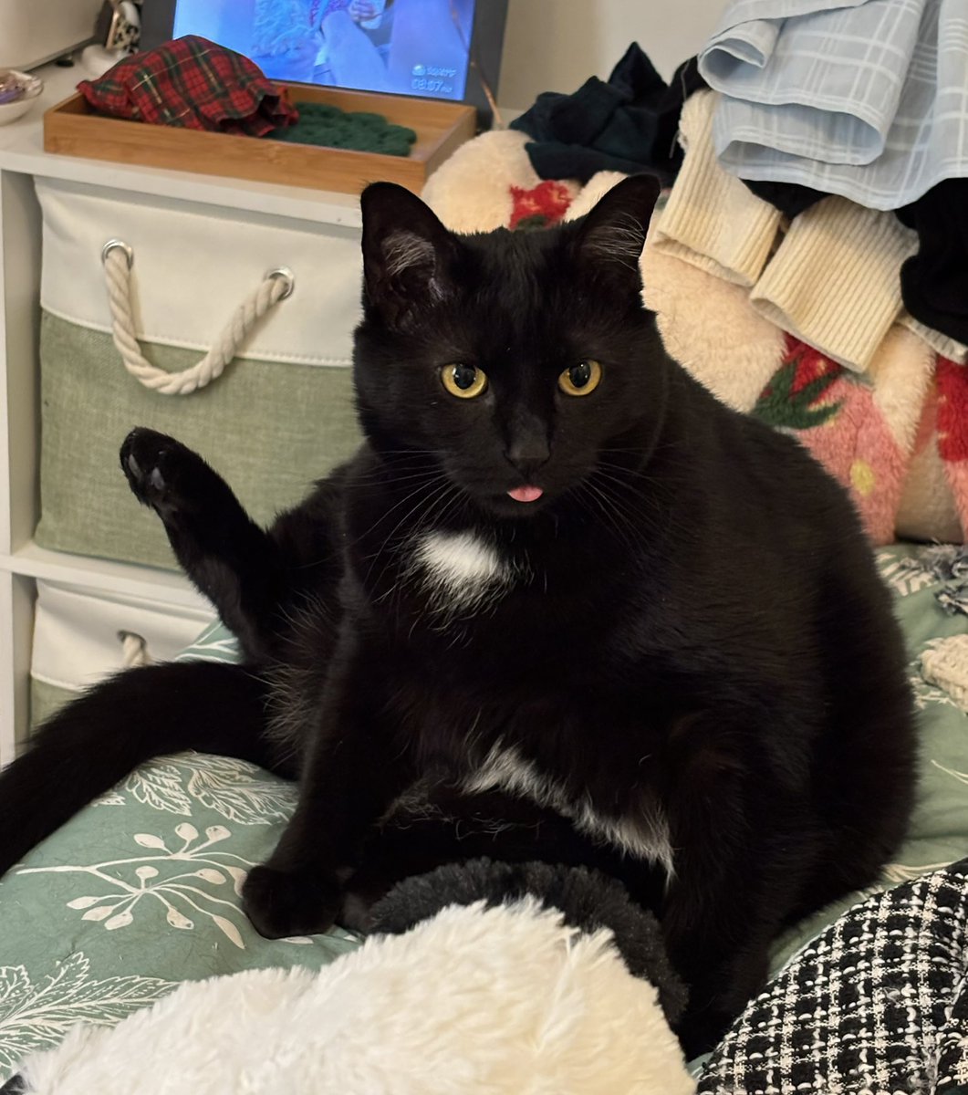 tea ☕️ tweet media