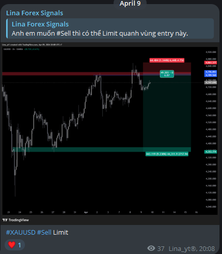 Lina Trading | XAU BTC tweet media