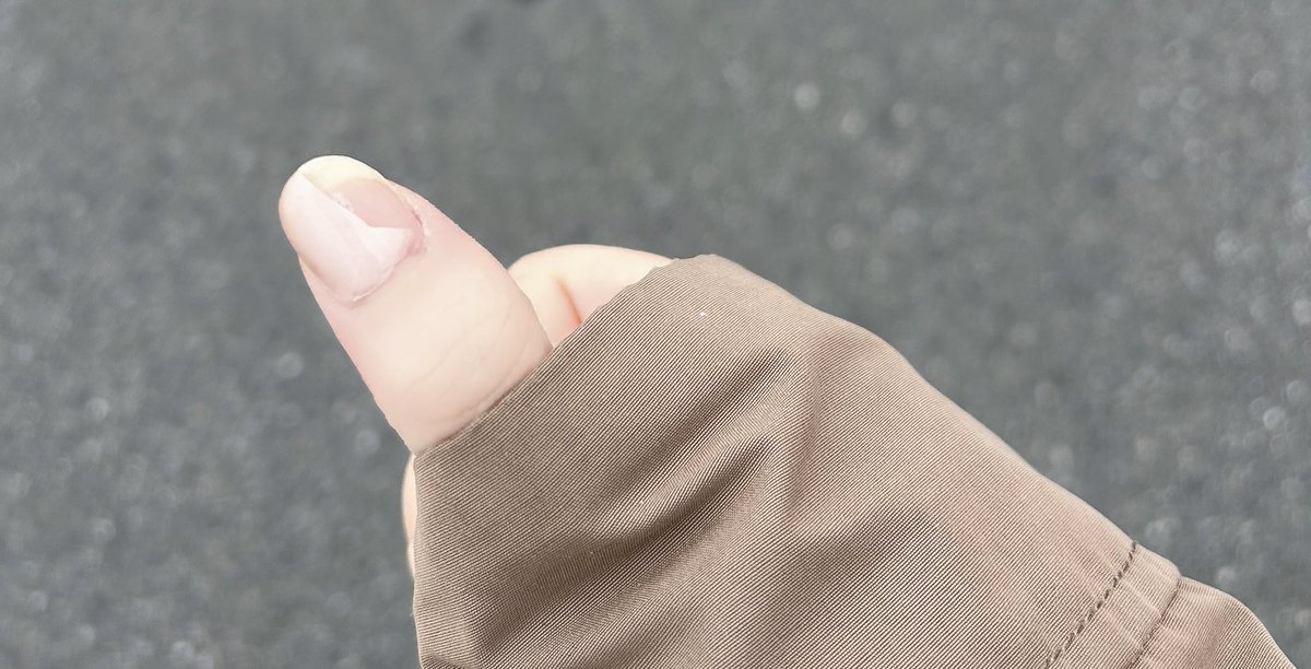 💮はなむら💐 tweet media