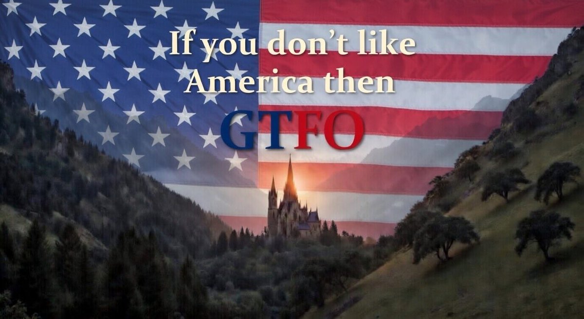 The Reader tweet media