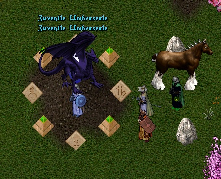 らまや🦙 tweet media