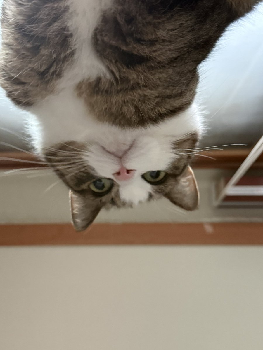 뿌리 (@ppuri0921) on Twitter photo 