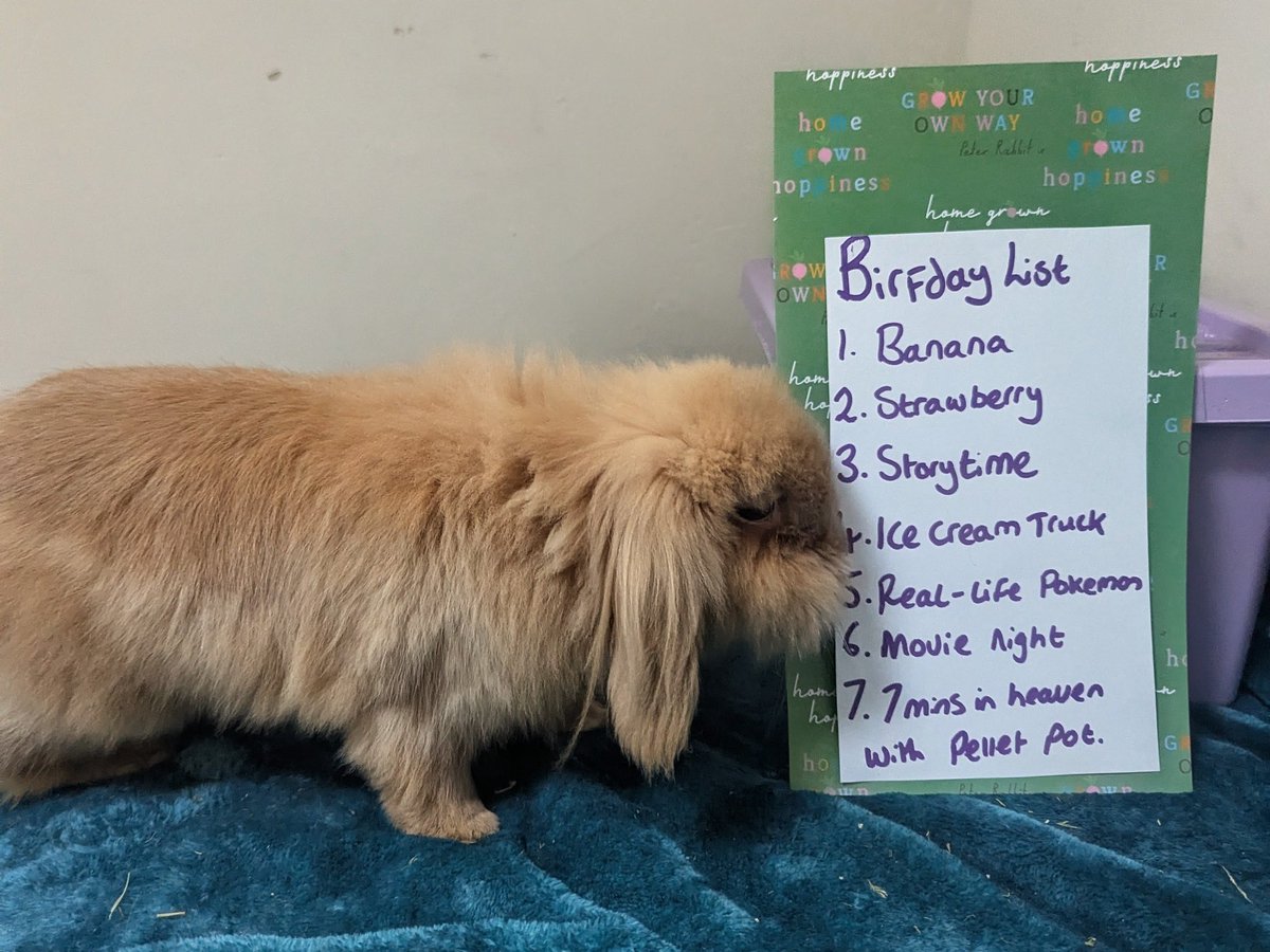 Only Fawns tweet media