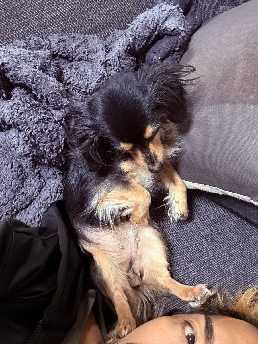 Jun@武玄（たけくろ） tweet media