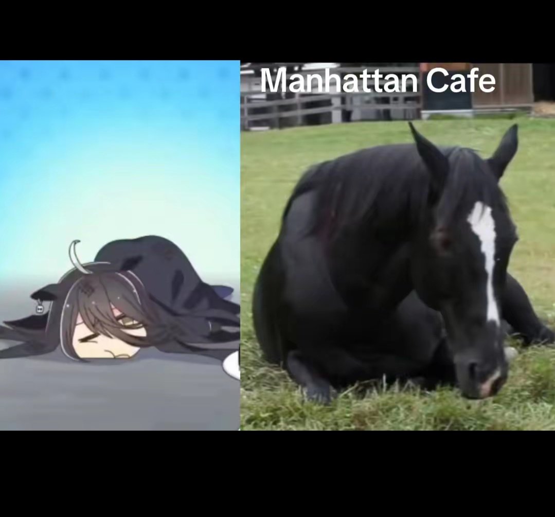 Bolsonigga e sua vice Seiun Sky tweet media