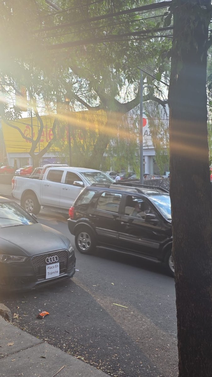 Nancy Martínez tweet media