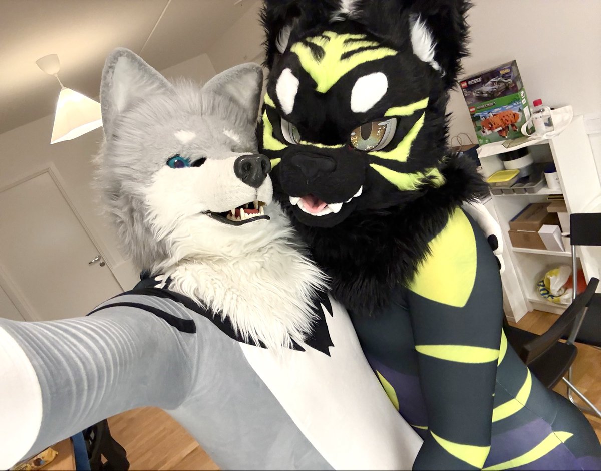 Husky the Lazy Wolf 🇨🇳🇸🇪👉🛏️ tweet media