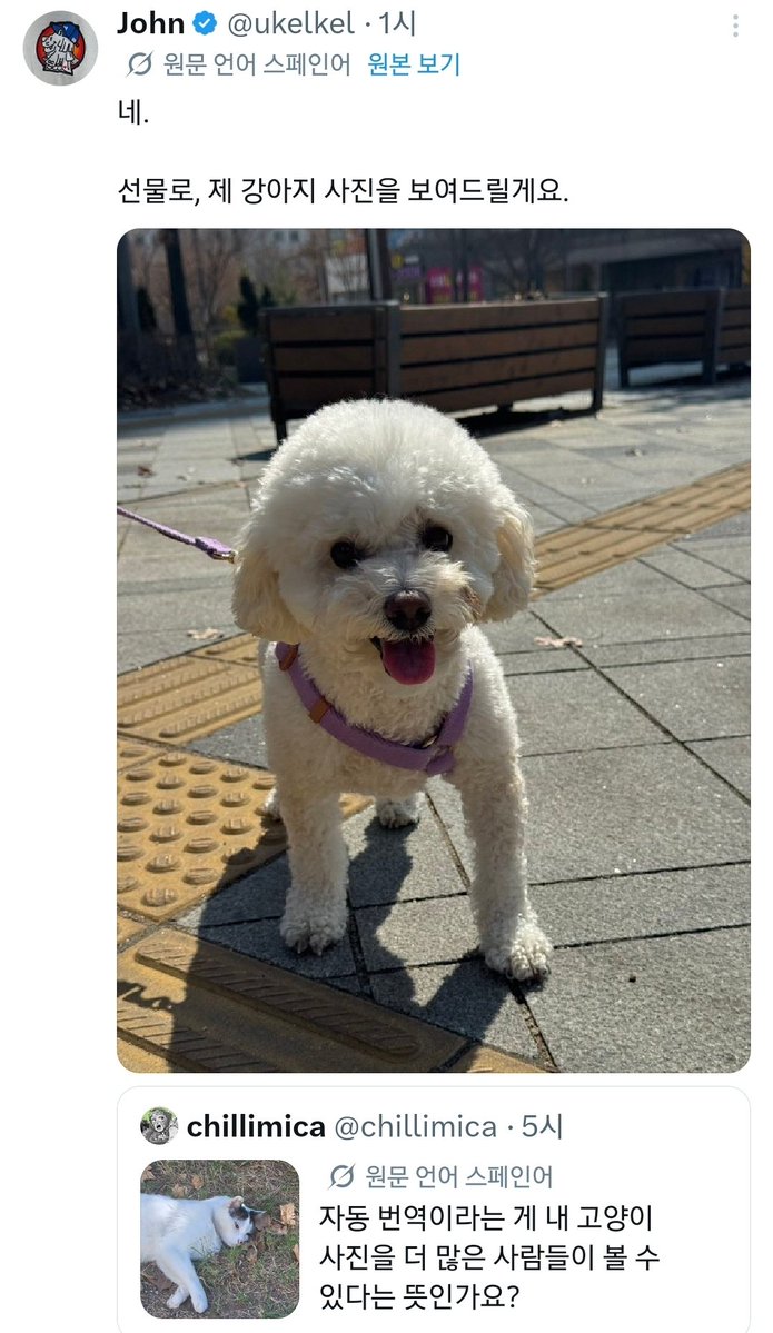 햅쌀( ꈍᴗꈍ)🌾 tweet media