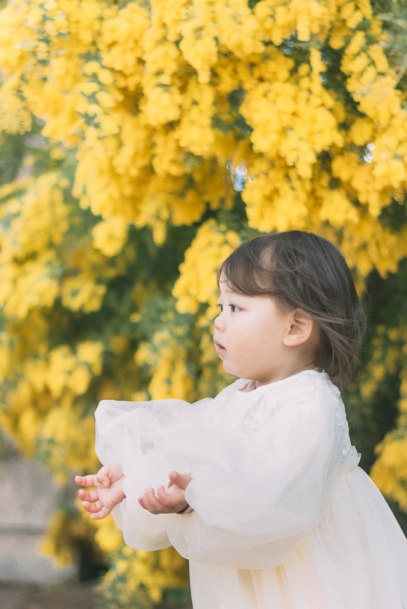 お声がけもらって撮っていただいたお写真💛モリモリのミモザも綺麗だったし、可愛く撮ってくださって嬉しい😍😍😍