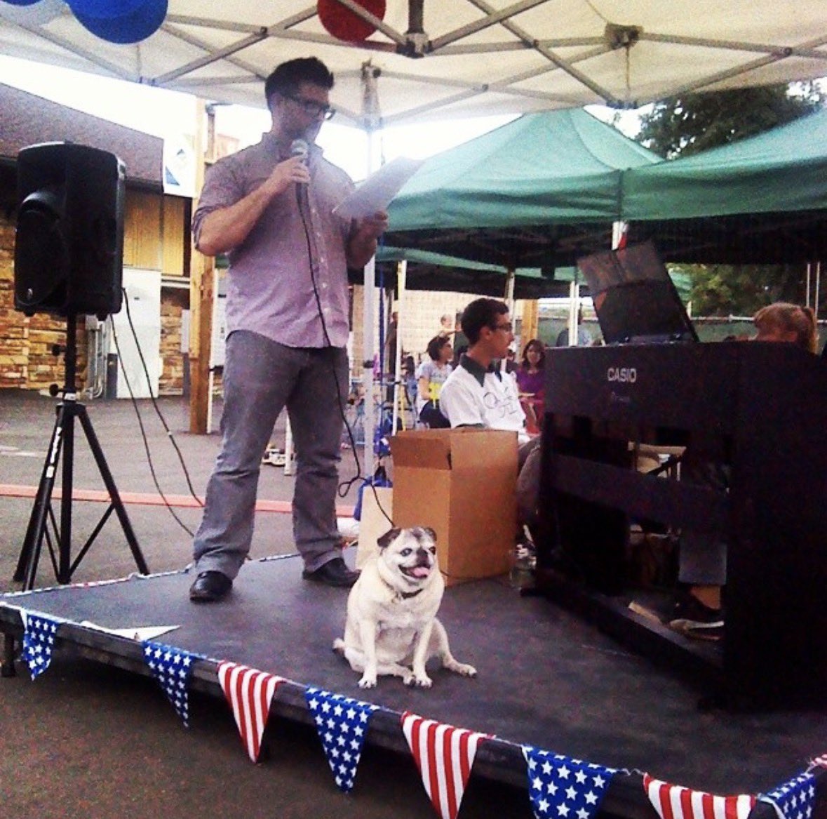 ThinMalley's tweet photo. @dog_rates Awww, this reminds me of the time my pug *literally* upstaged a comedian. https://t.co/CeasF1Boxs