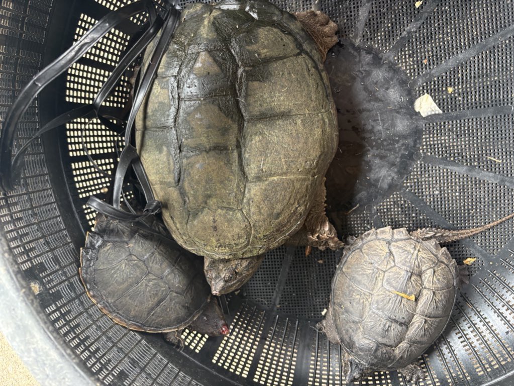 北総水産 tweet media