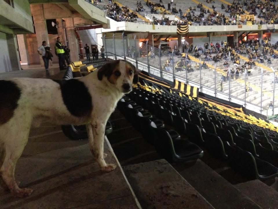 Daniel Zunín😎 tweet media