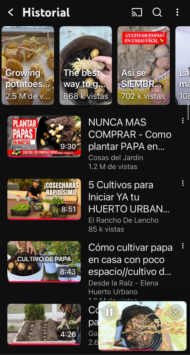 ☀️ ⋆ 🌼 tweet media