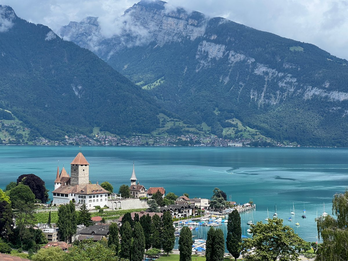 배냥이 tweet media